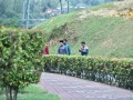 Tn dsc 4580